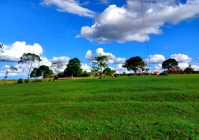 21-Acre Garden Plot with Parking