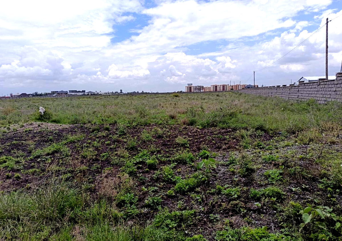 10-Acre Katani Plot for KSh 120M