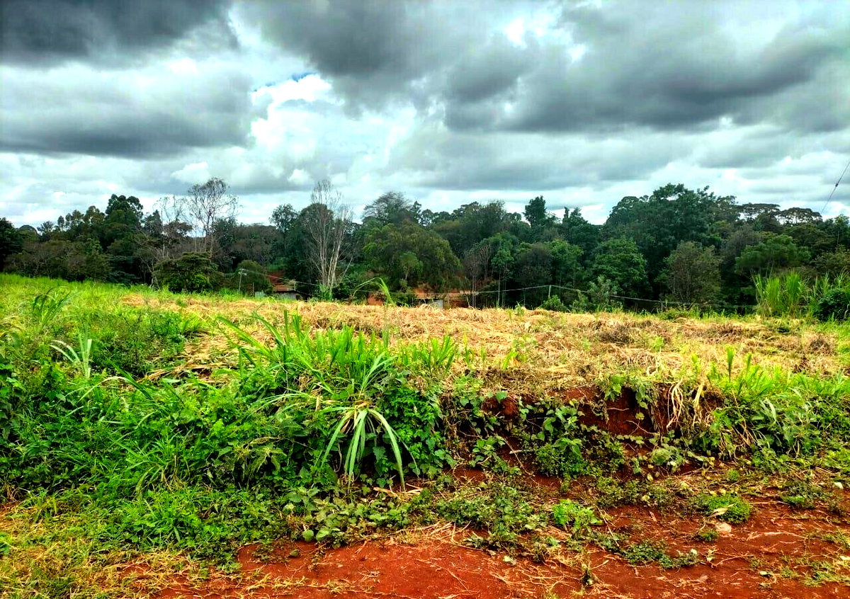5-Acre Kitisuru Plot for Sale