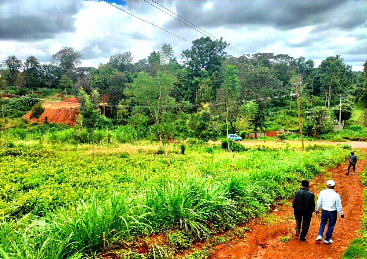 5-Acre Kitisuru Plot for Sale
