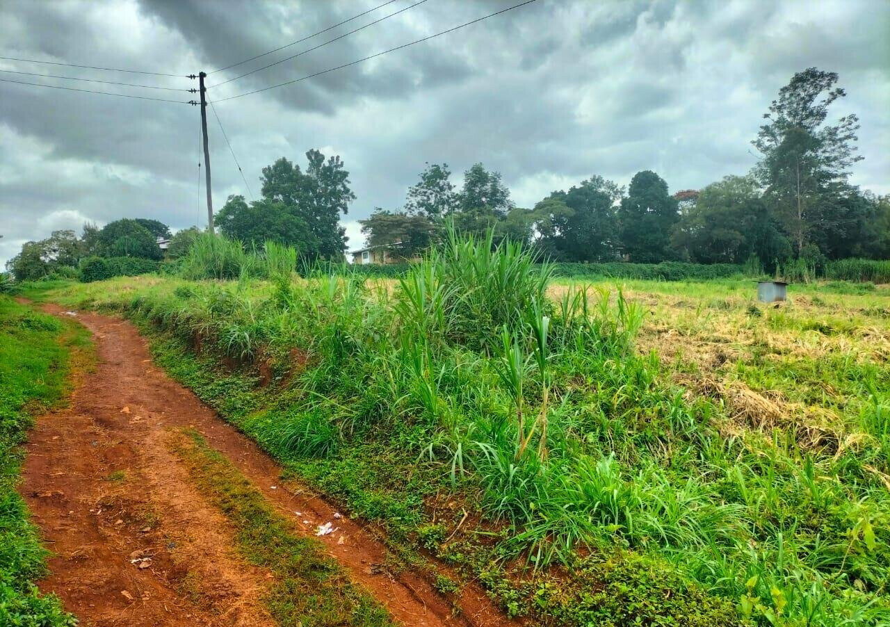 5-Acre Kitisuru Plot for Sale