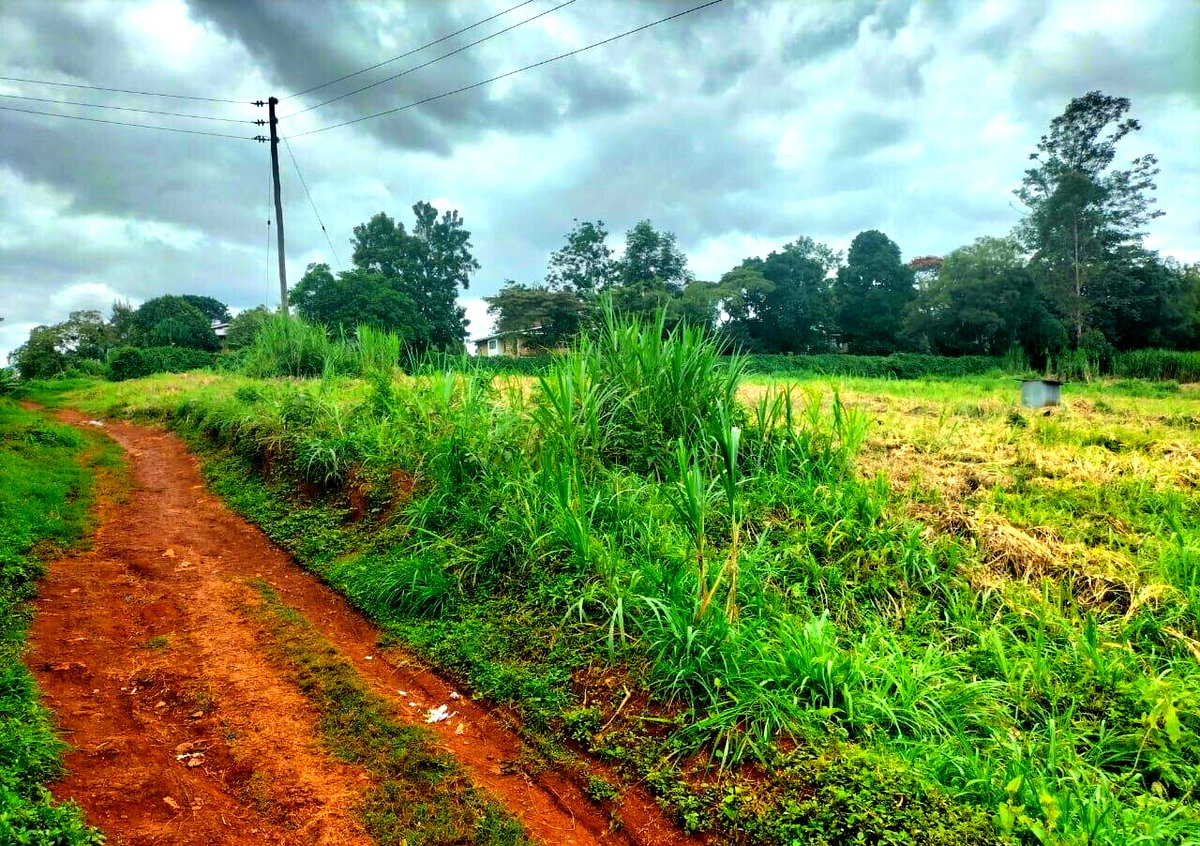 5-Acre Kitisuru Plot for Sale