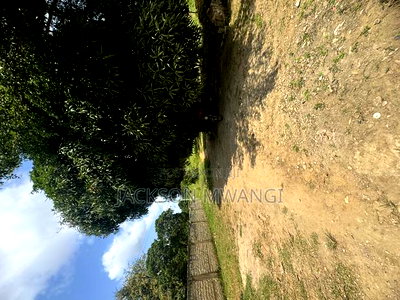 Reyo Apartments - Image 14