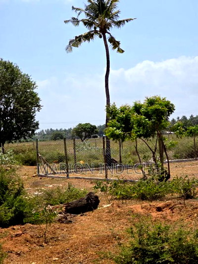 1/8th Acre Commercial Plots for Sale Kilifi Mtondia - Image 6