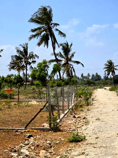 1/8th Acre Commercial Plots for Sale Kilifi Mtondia - Image 3