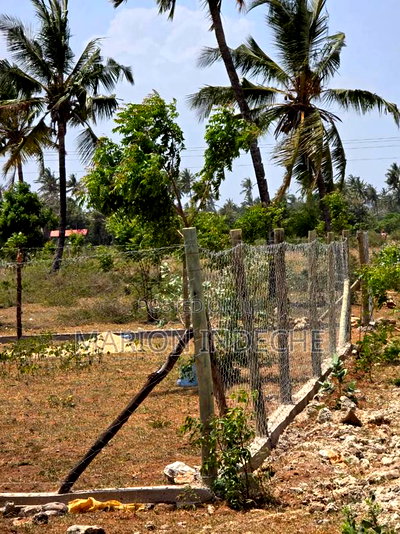 1/8th Acre Commercial Plots for Sale Kilifi Mtondia - Image 2