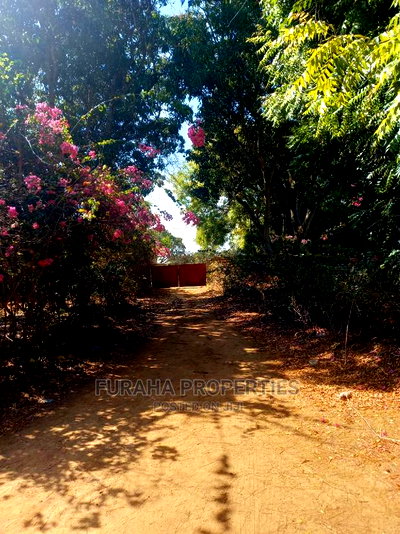 For Sale 3 Acres Poultry Farm Malindi. - Image 4