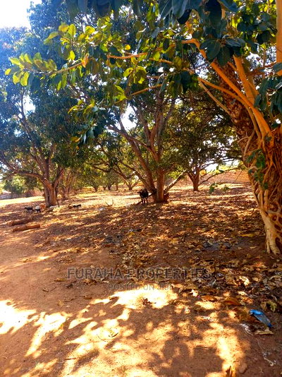 For Sale 3 Acres Poultry Farm Malindi. - Image 6