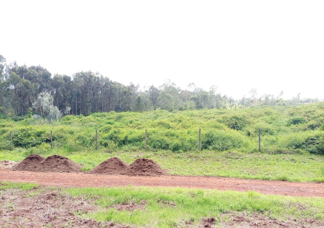 3.4-Acre Plot with Garden and Parking
