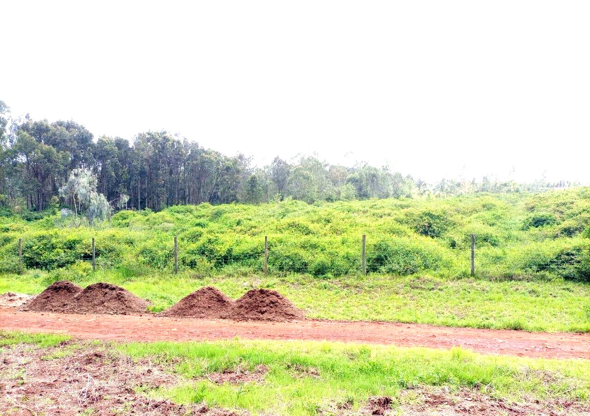 3.4-Acre Plot with Garden and Parking
