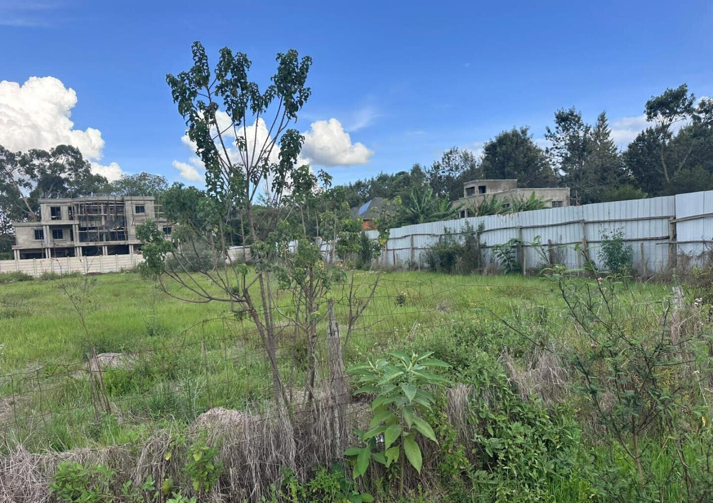 Half Acre Garden Plot in Karen