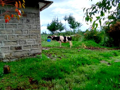 1/4 Acre With House Structure on Sale at Kinangop Eginear - Image 5