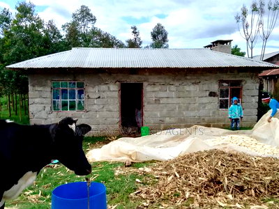 1/4 Acre With House Structure on Sale at Kinangop Eginear - Image 3