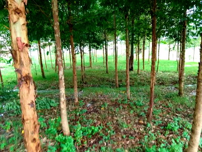 1/4 Acre With House Structure on Sale at Kinangop Eginear - Image 1