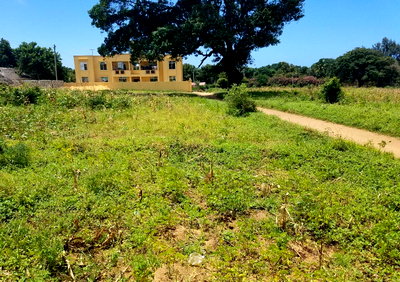 50x100 Plot in Malindi Sunn Park