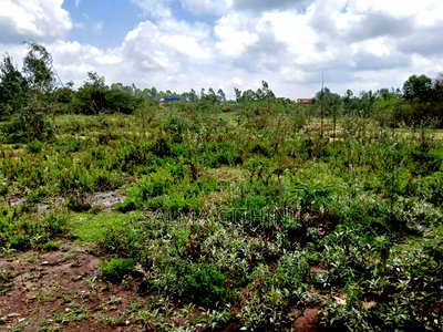 Prime 1acre Land for Sale in Karen-End Area - Image 3