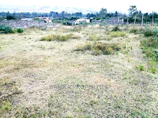 50*100 Plots for Sale Near Kiungururia Primary School