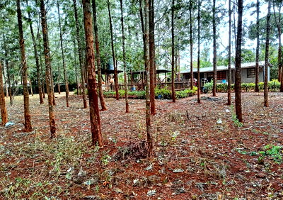 1-Acre Plot with Garden in Ruiru