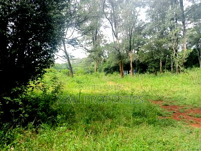 9 Acre Prime Hardy Karen - Image 4