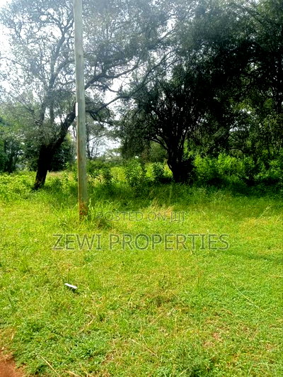 9 Acre Prime Hardy Karen - Image 2