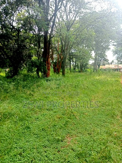 9 Acre Prime Hardy Karen - Image 6