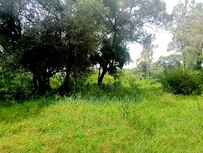 9 Acre Prime Hardy Karen - Image 3