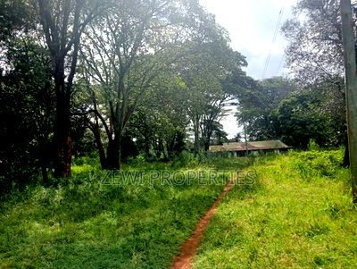 9 Acre Prime Hardy Karen - Image 5