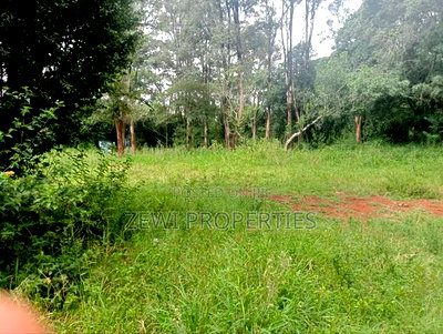 9 Acre Prime Hardy Karen - Image 1