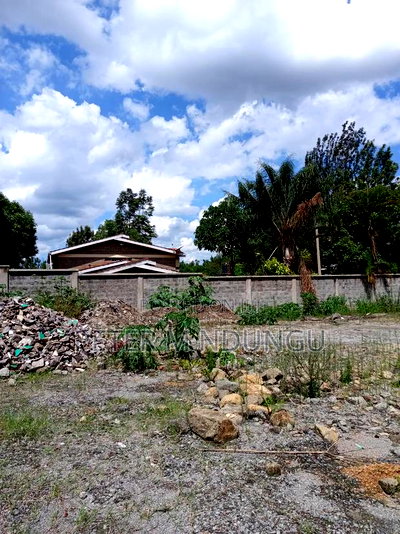 Prime Residential Plot , 1/2 Acre, Second Row, Thome - Image 9