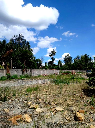 Prime Residential Plot , 1/2 Acre, Second Row, Thome - Image 2