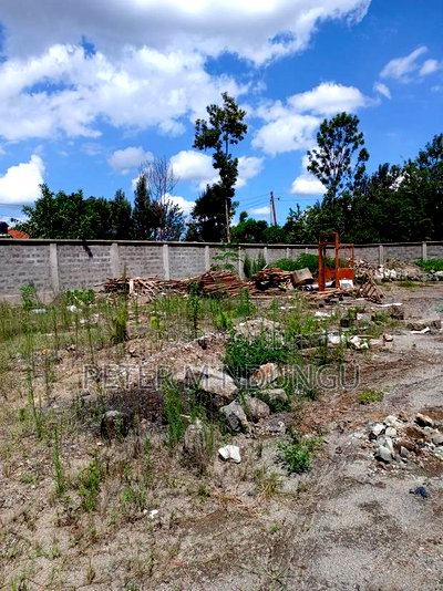 Prime Residential Plot , 1/2 Acre, Second Row, Thome - Image 4