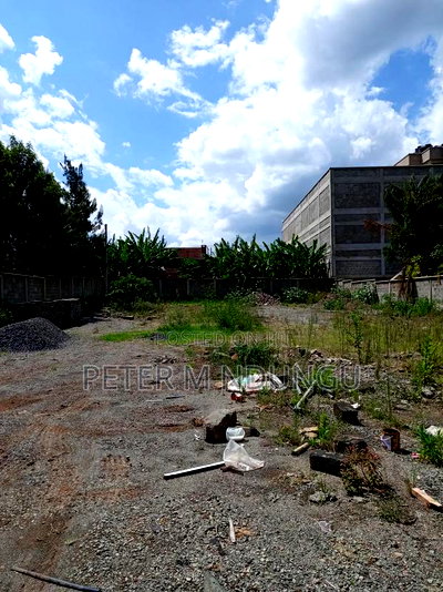 Prime Residential Plot , 1/2 Acre, Second Row, Thome - Image 3
