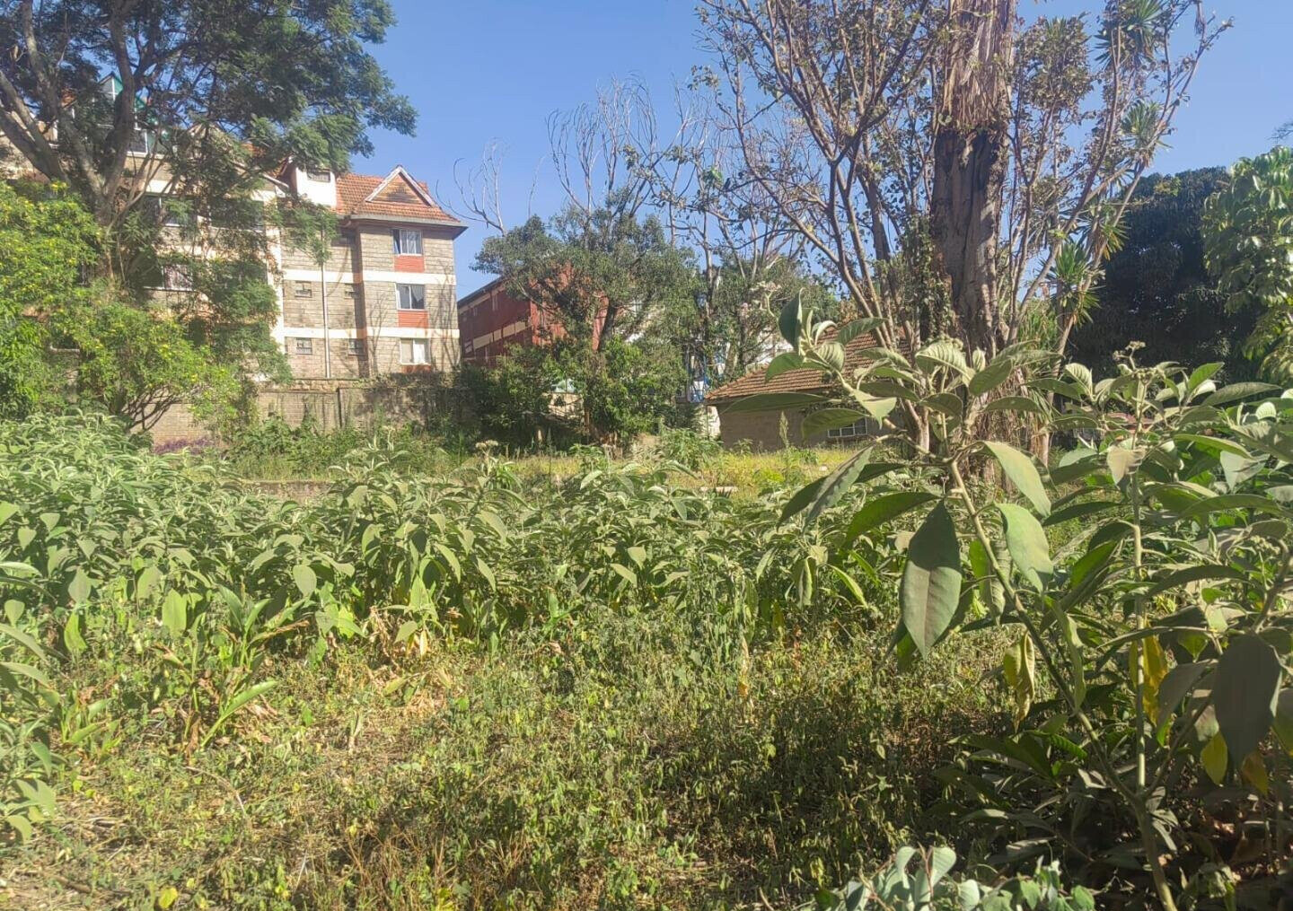 1 Acre Garden Plot in Westlands