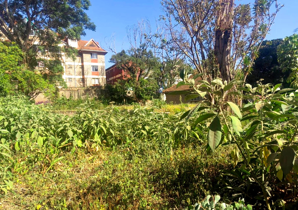 1 Acre Garden Plot in Westlands