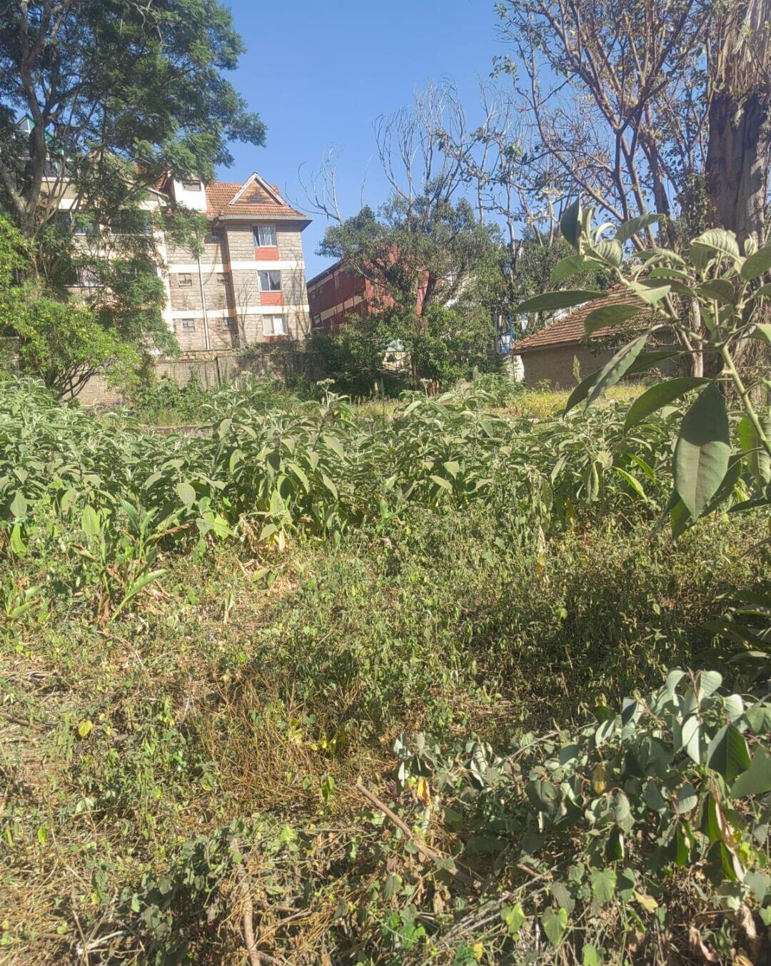 1 Acre Garden Plot in Westlands