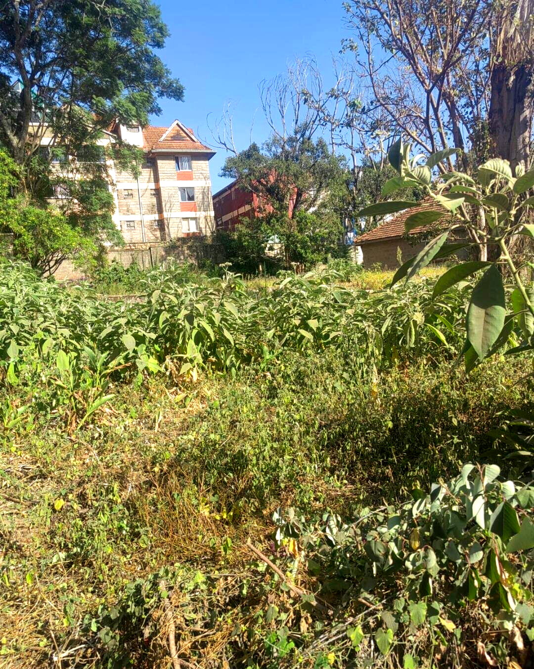 1 Acre Garden Plot in Westlands