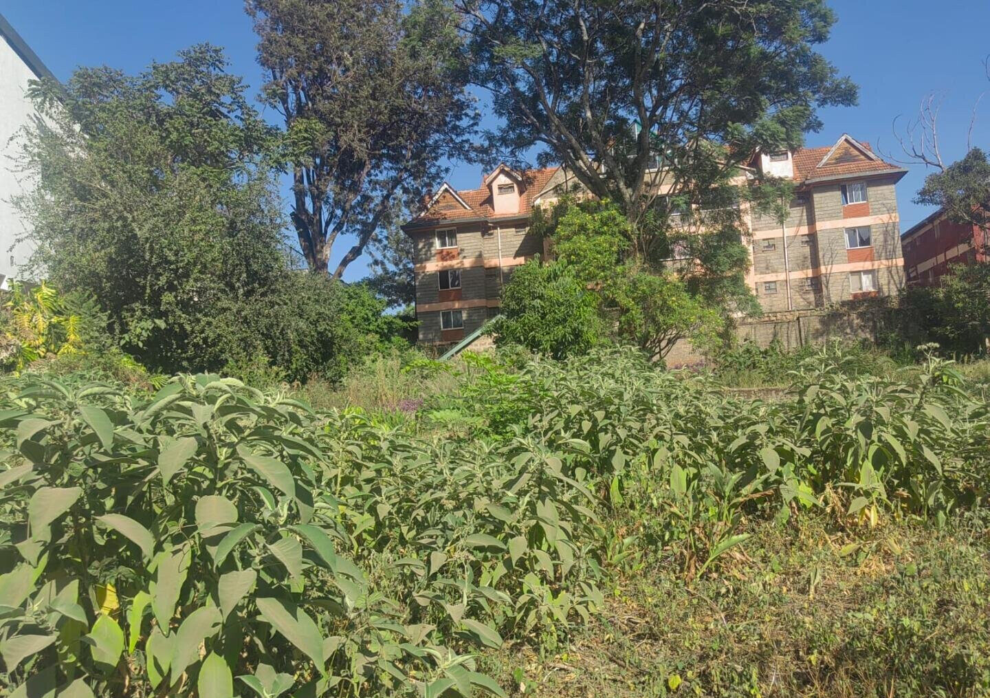 1 Acre Garden Plot in Westlands