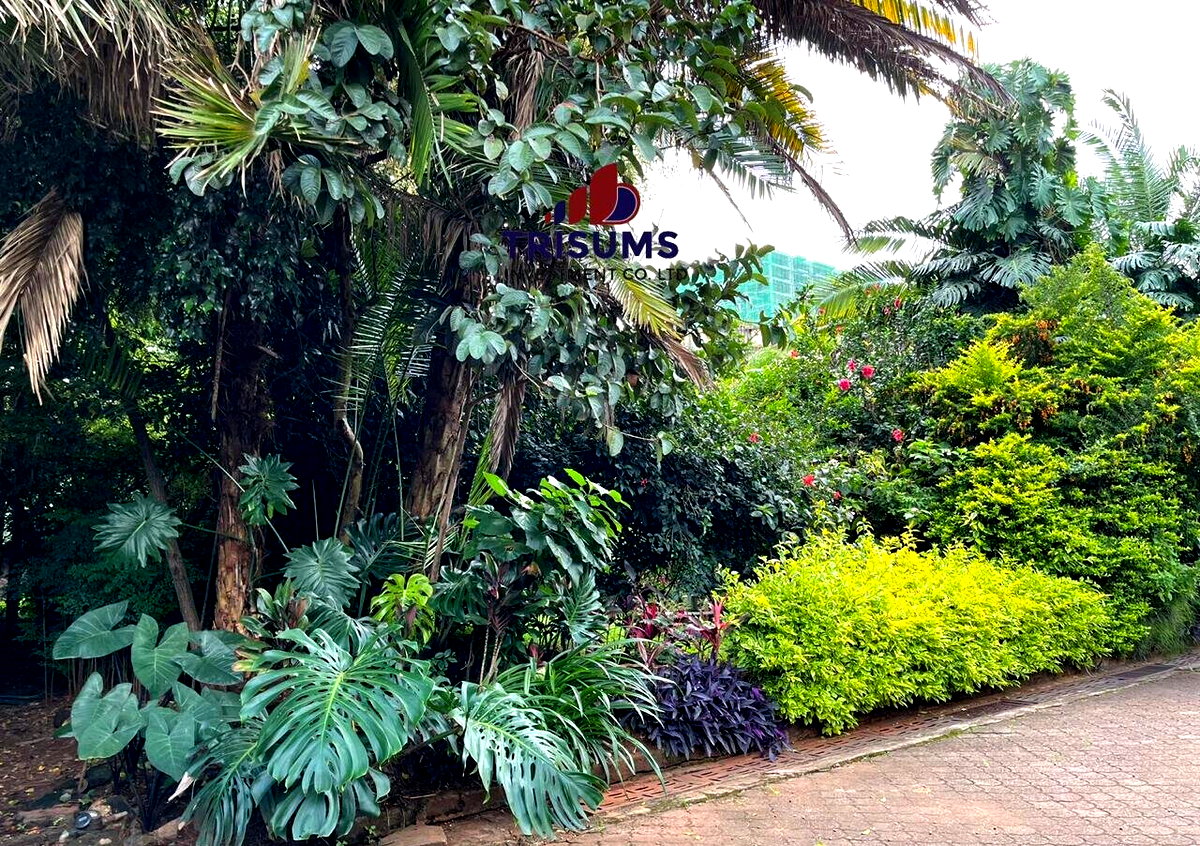 3/4 Acre Westlands Plot for KSh 360M