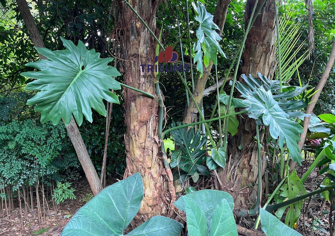 3/4 Acre Westlands Plot for KSh 360M