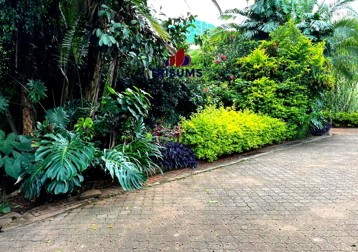 3/4 Acre Westlands Plot for KSh 360M
