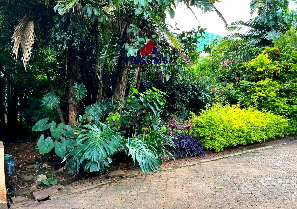 3/4 Acre Westlands Plot for KSh 360M