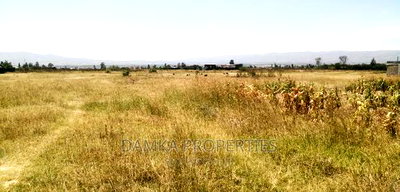 50*100 Plots for Sale 200mts From Tarmac at Mtaita - Image 2