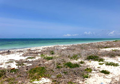 10-Acre Beachfront with Garden & Parking