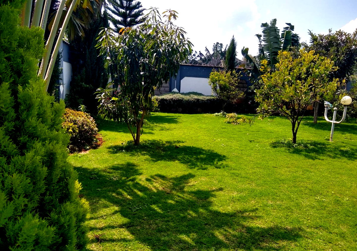 Half Acre 5BR Haven at KSh 500K