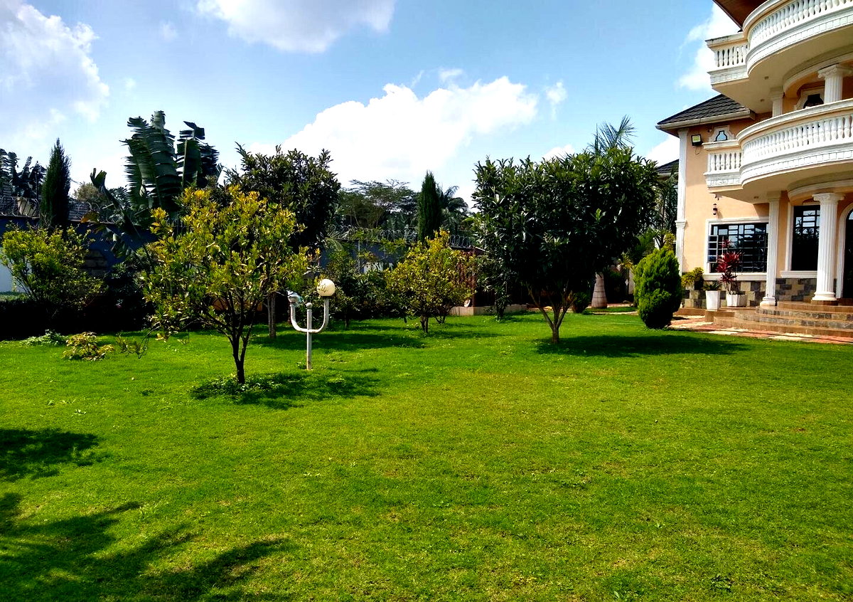 Half Acre 5BR Haven at KSh 500K