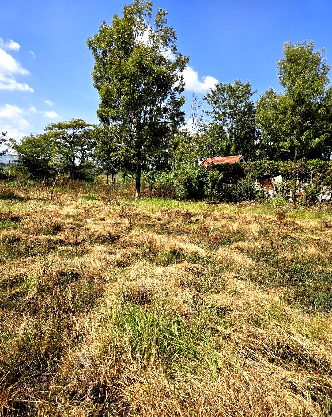 Quarter Acre Garden Plot