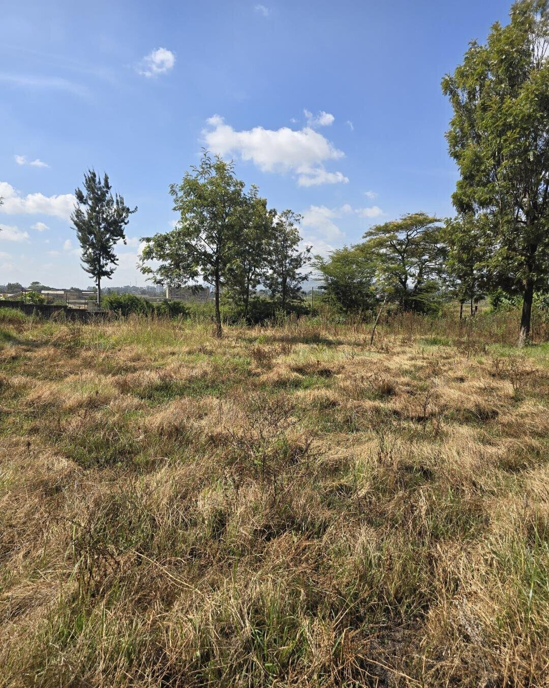 Quarter Acre Garden Plot