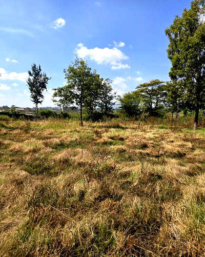 Quarter Acre Garden Plot