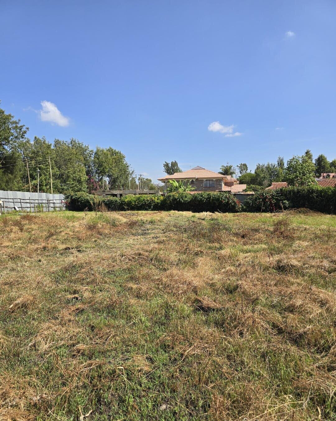 Quarter Acre Garden Plot