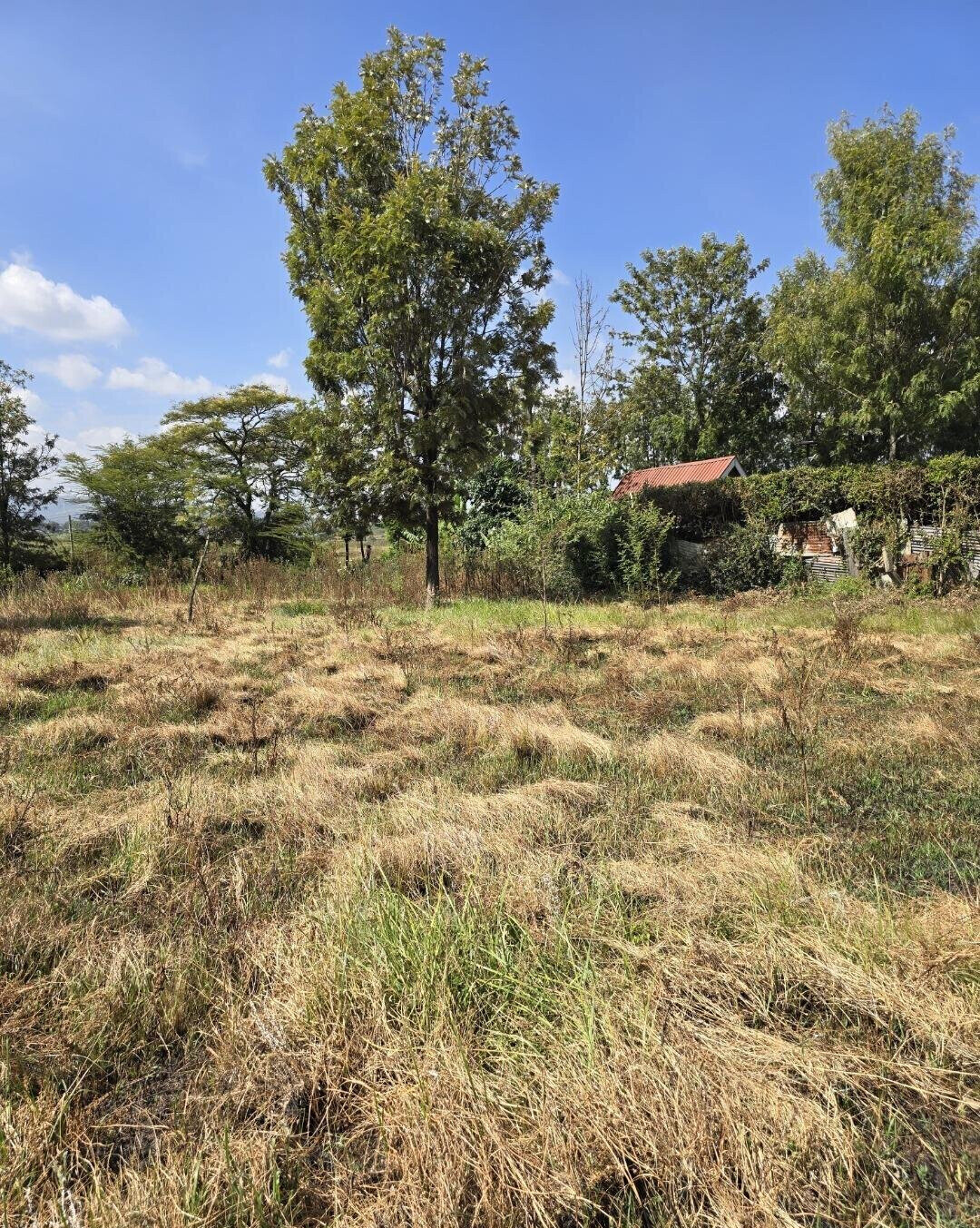 Quarter Acre Garden Plot